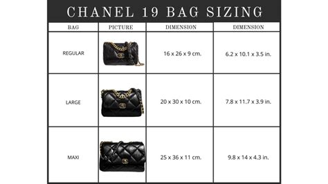 chanel 19 cm|Chanel bag size chart.